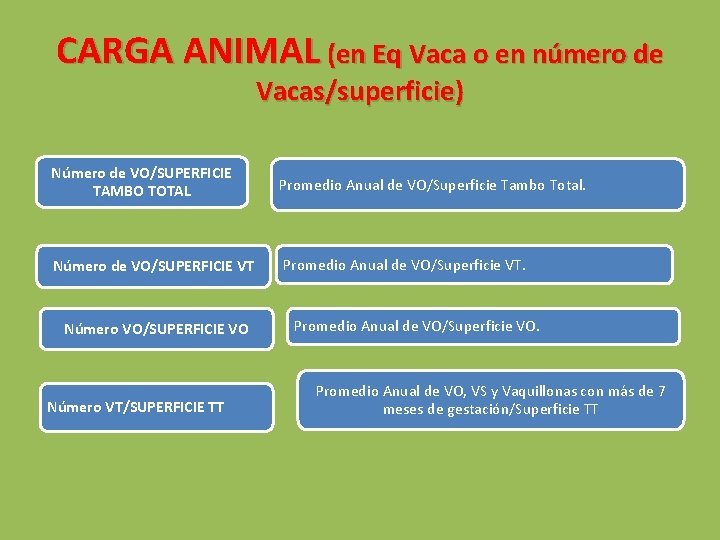 CARGA ANIMAL (en Eq Vaca o en número de Vacas/superficie) Número de VO/SUPERFICIE TAMBO
