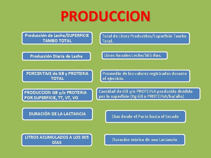 PRODUCCION Producción de Leche/SUPERFICIE TAMBO TOTAL Producción Diaria de Leche PORCENTAJE de GB y