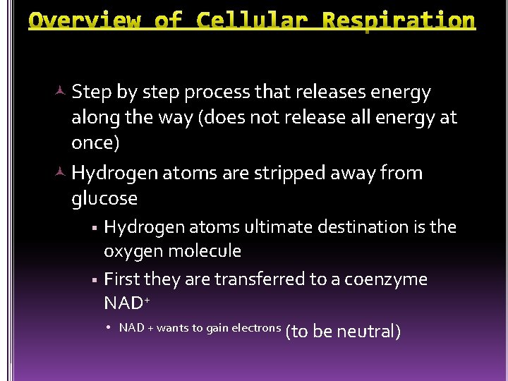  Step by step process that releases energy along the way (does not release