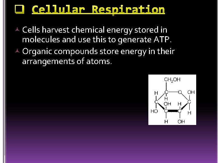  Cells harvest chemical energy stored in molecules and use this to generate ATP.