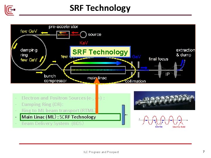 SRF Technology - Electron and Positron Sources (e-, e+) : Damping Ring (DR): Ring