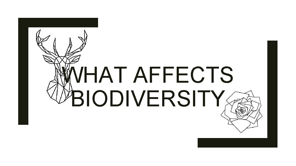 WHAT AFFECTS BIODIVERSITY 