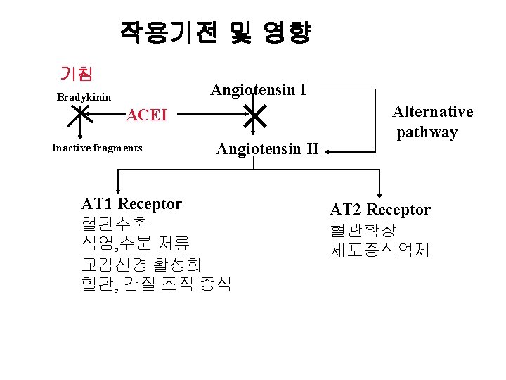 작용기전 및 영향 기침 Angiotensin I Bradykinin ACEI Inactive fragments Angiotensin II AT 1