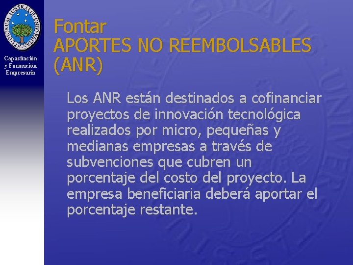 Capacitación y Formación Empresaria Fontar APORTES NO REEMBOLSABLES (ANR) Los ANR están destinados a