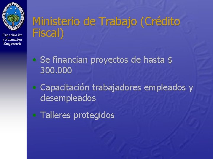 Capacitación y Formación Empresaria Ministerio de Trabajo (Crédito Fiscal) • Se financian proyectos de