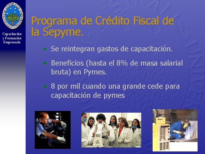 Capacitación y Formación Empresaria Programa de Crédito Fiscal de la Sepyme. • Se reintegran