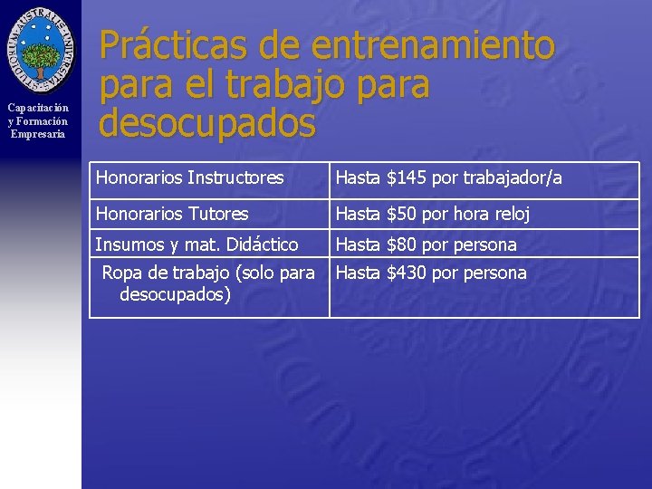 Capacitación y Formación Empresaria Prácticas de entrenamiento para el trabajo para desocupados Honorarios Instructores