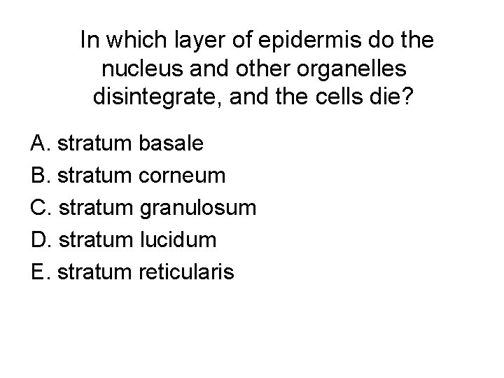 In which layer of epidermis do the nucleus and other organelles disintegrate, and the