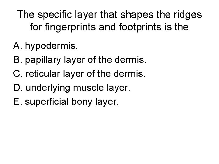 The specific layer that shapes the ridges for fingerprints and footprints is the A.