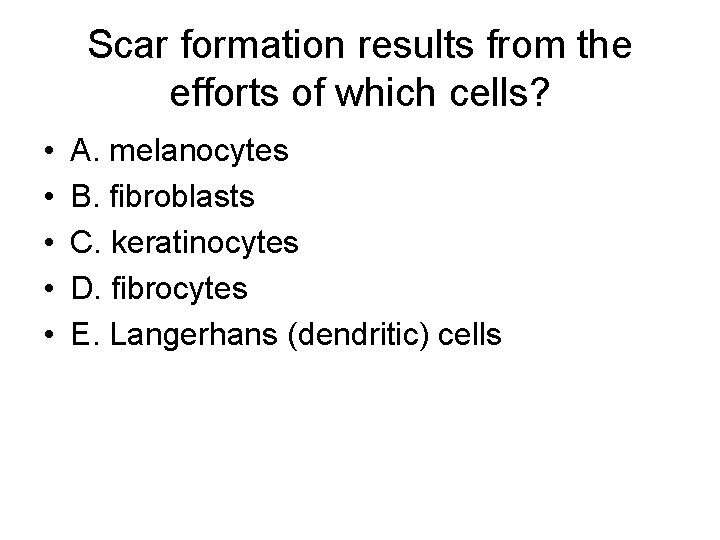 Scar formation results from the efforts of which cells? • • • A. melanocytes