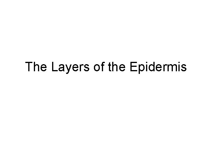 The Layers of the Epidermis 