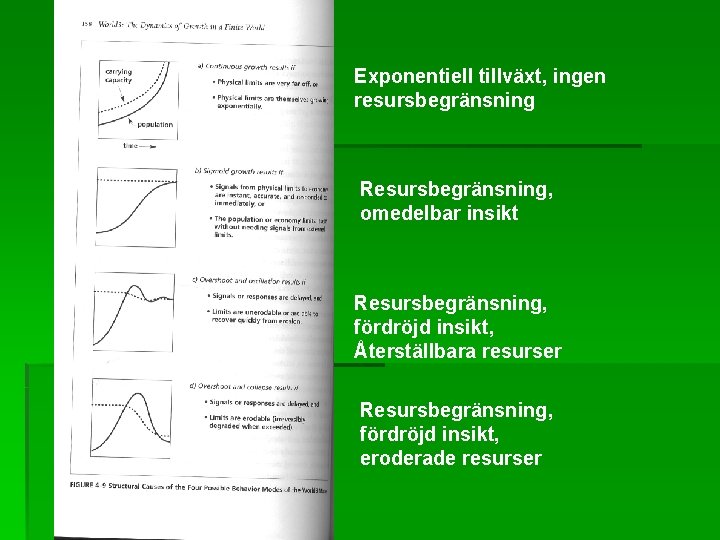 Exponentiell tillväxt, ingen resursbegränsning Resursbegränsning, omedelbar insikt Resursbegränsning, fördröjd insikt, Återställbara resurser Resursbegränsning, fördröjd