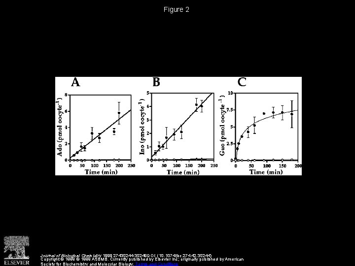 Cloning and Functional Expression of a Gene Encoding