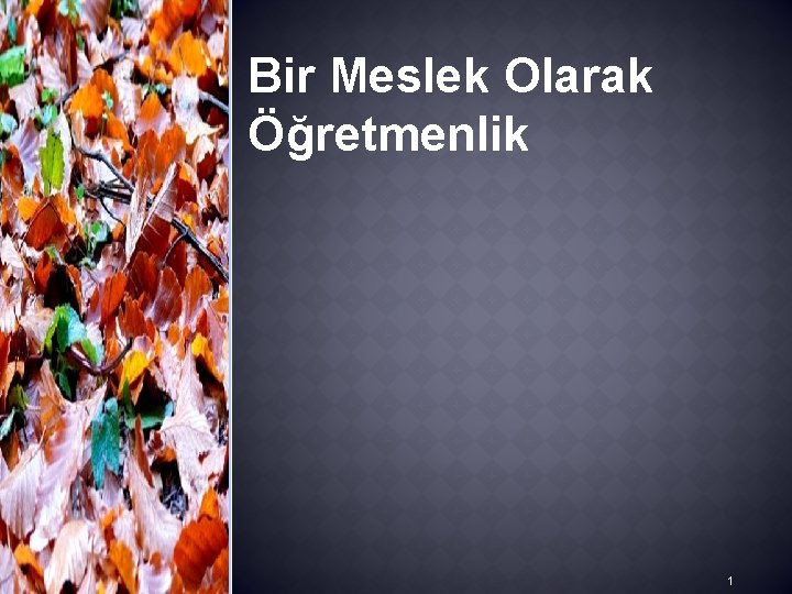 Bir Meslek Olarak Öğretmenlik 1 