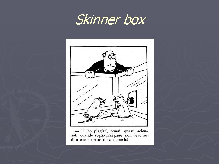 Skinner box 