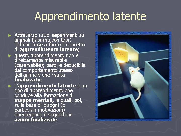 Apprendimento latente Attraverso i suoi esperimenti su animali (labirinti con topi) Tolman mise a
