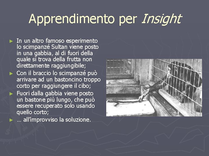 Apprendimento per Insight In un altro famoso esperimento lo scimpanzé Sultan viene posto in
