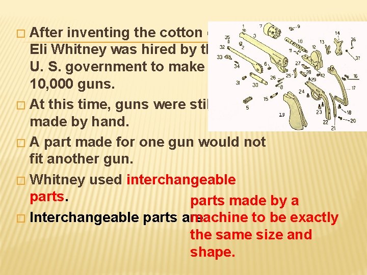 After inventing the cotton gin, Eli Whitney was hired by the U. S. government