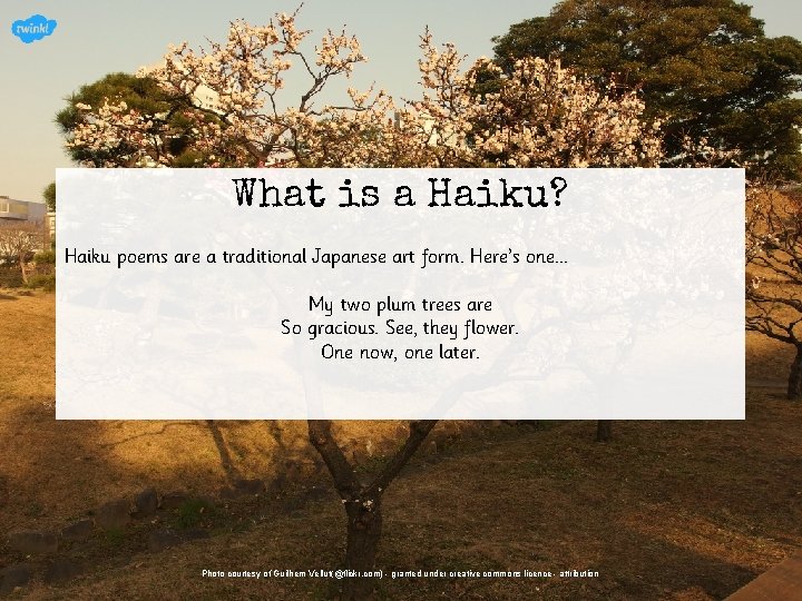 What is a Haiku? Haiku poems are a traditional Japanese art form. Here’s one.