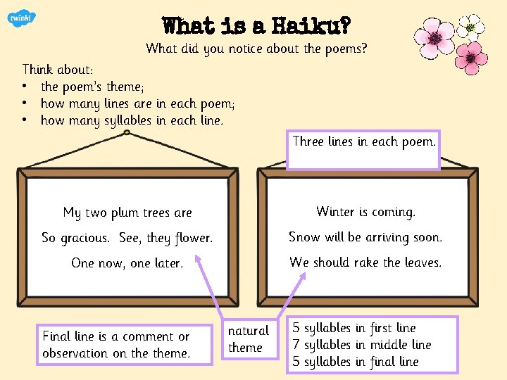 What is a Haiku? What did you notice about the poems? Think about: •