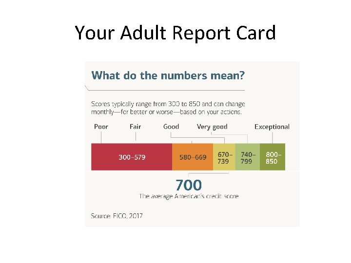Your Adult Report Card 