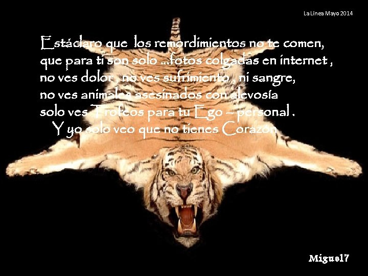 La Linea Mayo 2014 Estáclaro que los remordimientos no te comen, que para ti