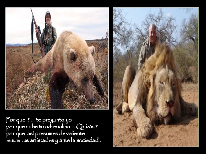 Por que ? … te pregunto yo por que sube tu adrenalina … Quizás