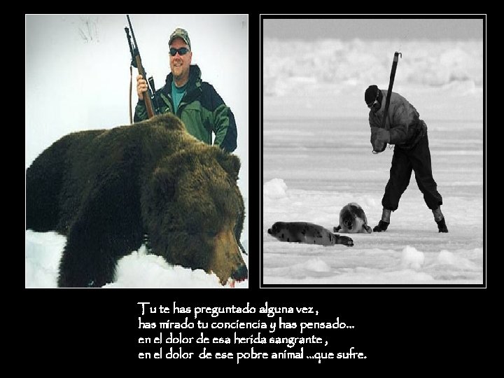 Tu te has preguntado alguna vez , has mirado tu conciencia y has pensado…