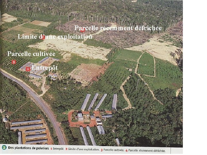 Parcelle récemment défrichée Limite d’une exploitation Parcelle cultivée Entrepôt 