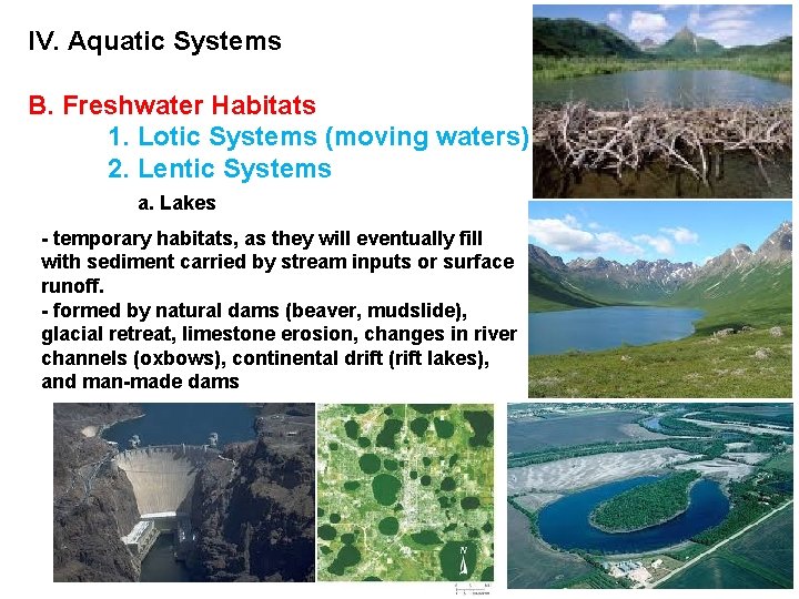 Lotic System Examples Climate and Biomes IV Aquatic Systems Climate and