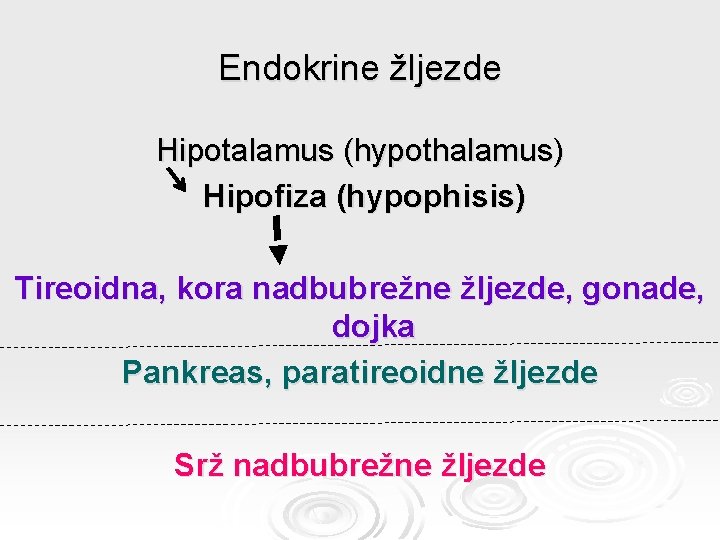 Endokrine žljezde Hipotalamus (hypothalamus) Hipofiza (hypophisis) Tireoidna, kora nadbubrežne žljezde, gonade, dojka Pankreas, paratireoidne