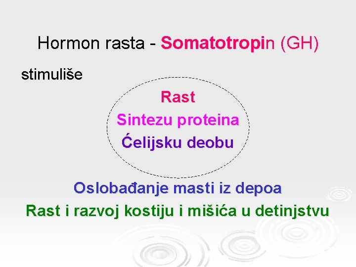 Hormon rasta - Somatotropin (GH) stimuliše Rast Sintezu proteina Ćelijsku deobu Oslobađanje masti iz