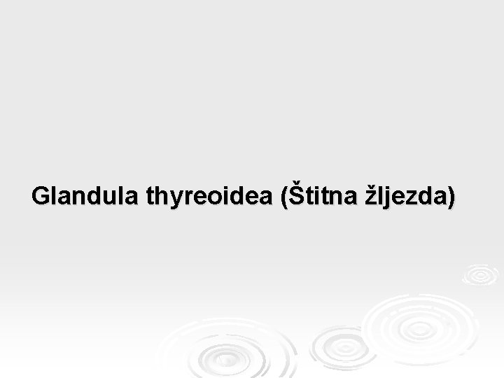 Glandula thyreoidea (Štitna žljezda) 