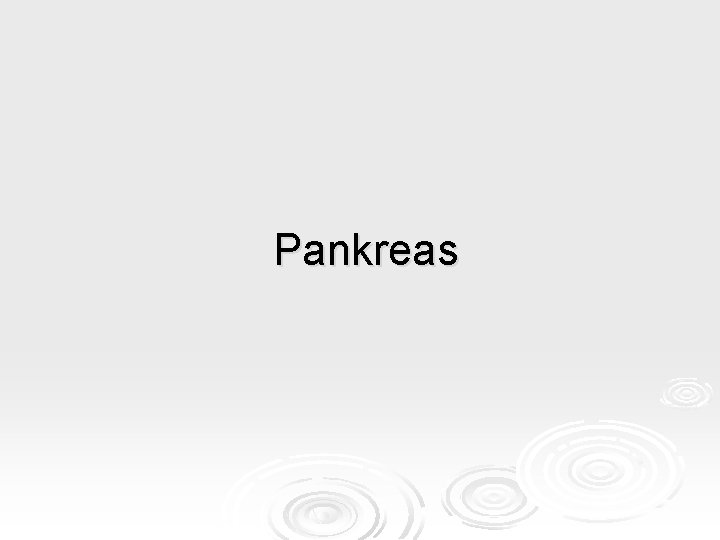 Pankreas 