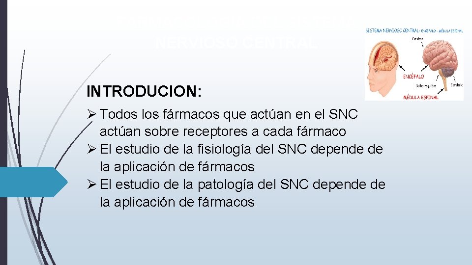 FARMACOLOGIA DEL SISTEMA NERVIOSO CENTRAL INTRODUCION: Todos los fármacos que actúan en el SNC