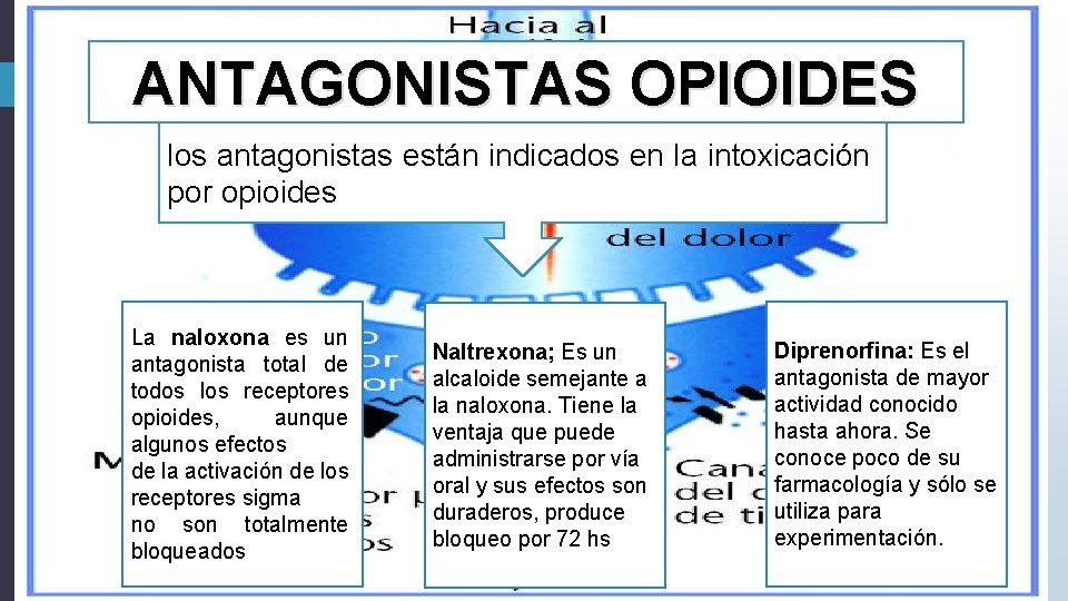 ANTAGONISTAS OPIOIDES los antagonistas están indicados en la intoxicación por opioides La naloxona es