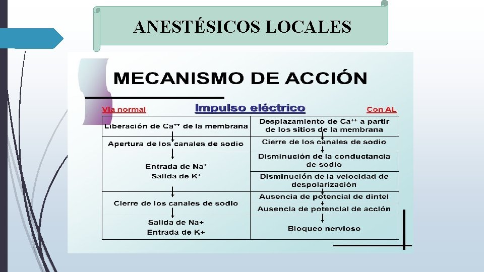 ANESTÉSICOS LOCALES 