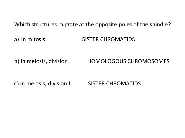 Which structures migrate at the opposite poles of the spindle? a) in mitosis SISTER