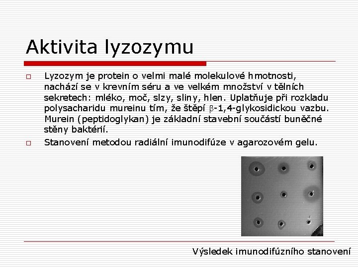 Aktivita lyzozymu o o Lyzozym je protein o velmi malé molekulové hmotnosti, nachází se