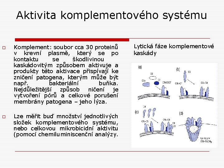 Aktivita komplementového systému o o Komplement: soubor cca 30 proteinů v krevní plasmě, který