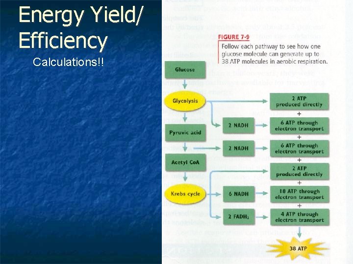 Energy Yield/ Efficiency Calculations!! 