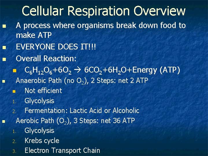 Cellular Respiration Overview n n n A process where organisms break down food to