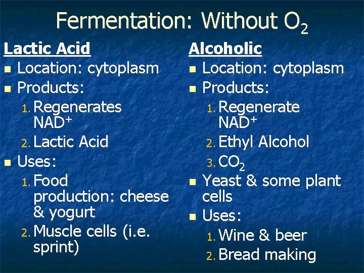 Fermentation: Without O 2 Lactic Acid n Location: cytoplasm n Products: 1. Regenerates NAD+