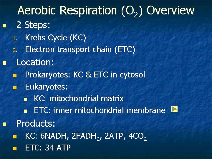 Aerobic Respiration (O 2) Overview n 2 Steps: 1. 2. n Location: n n