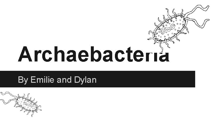 Archaebacteria By Emilie and Dylan 