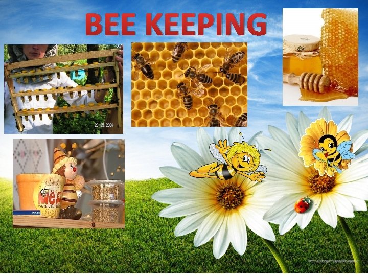 BEE KEEPING 