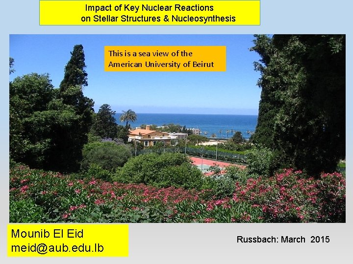 Impact of Key Nuclear Reactions on Stellar Structures & Nucleosynthesis This is a sea