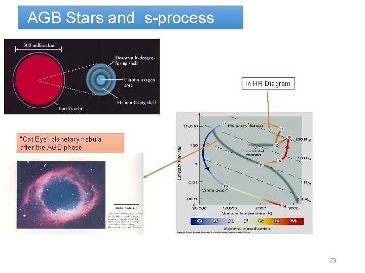 AGB Stars and s-process Concerning the s-process In HR Diagram “Cat Eye” planetary nebula