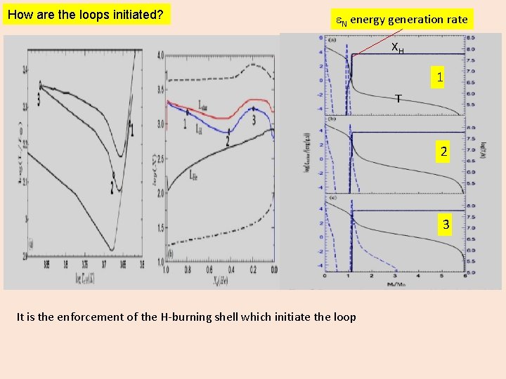 How are the loops initiated? N energy generation rate XH 1 T 2 3