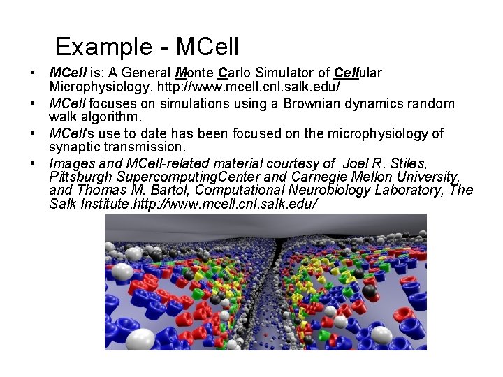 Example - MCell • MCell is: A General Monte Carlo Simulator of Cellular Microphysiology.